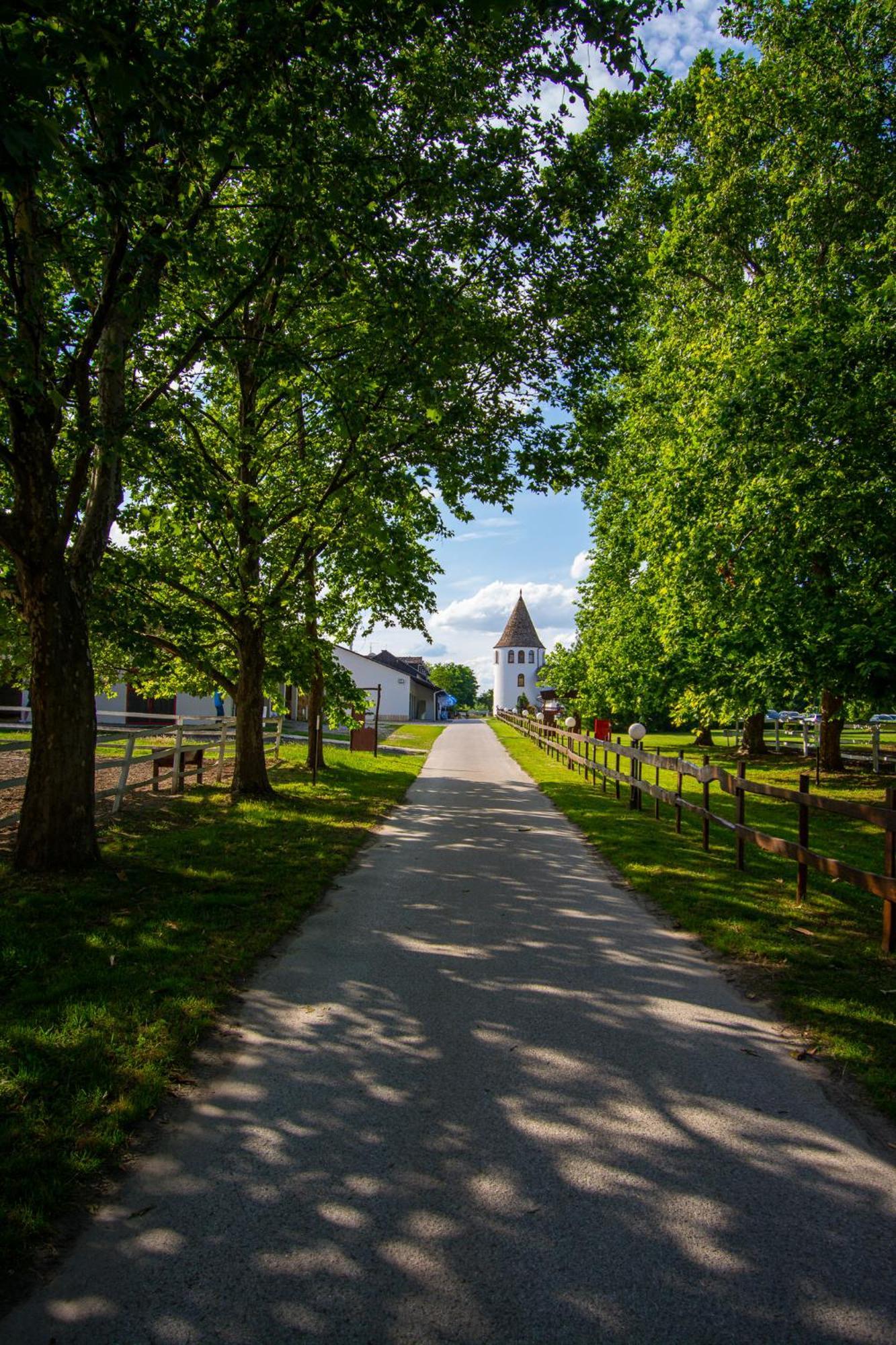Hotel Villa Majur Subotica Buitenkant foto