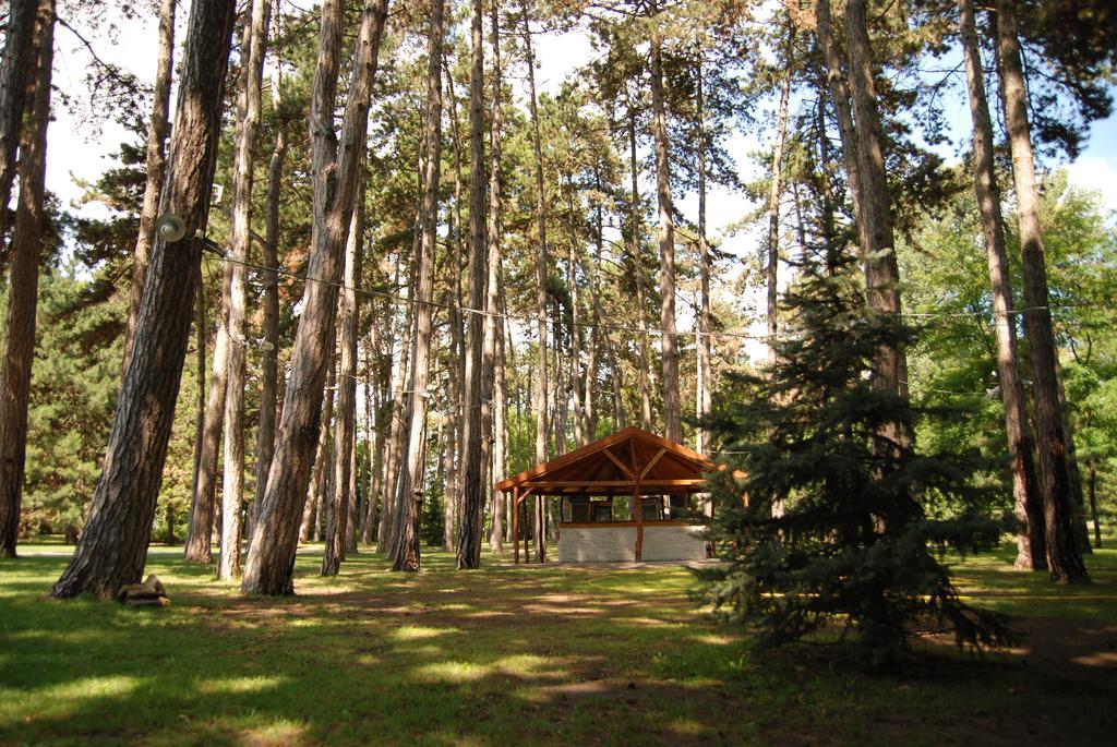 Hotel Villa Majur Subotica Buitenkant foto